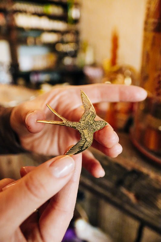 Piespraude,talismans “Laimes Bezdelīga”